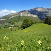 vista su san valentino di brentonico