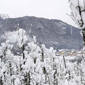 Vista della Val di Sole dal Convento dei Cappuccini