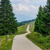 Strada che dal parcheggio porta al Rifugio Peller