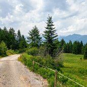 Sentiero dal Rifugio Peller a Malga Clesera