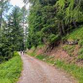 Strada verso Malga Clesera