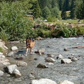 torrente foce o rio val piana