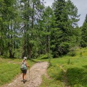 Attraversamento del bosco che porta al Lago delle Salare