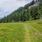 Prati fioriti nei pressi di malga clesera