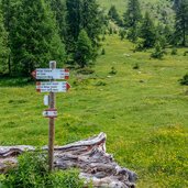 Prati fioriti nei pressi di malga clesera