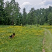 Prati nei pressi del Lago delle salare