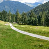 Vista sulla Valpiana e sullo sfondo cime della Val di Sole