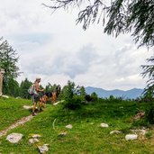 sentiero presso lago delle salare