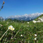 sella palacia vista vs catinaccio