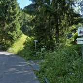 sentiero da lenzumo a rifugio pernici