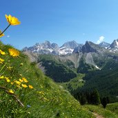 vista da discesa sella palacia verso pecol sul gruppo marmolada con gran vernel penia e in primo piano col ombert