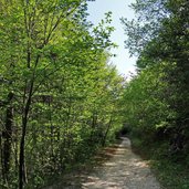 sentiero del ponale a nord di pregasina