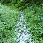 sentiero da lenzumo a rifugio pernici