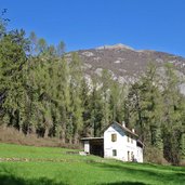 sentiero di san vili presso ex vivaio orto forestale