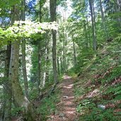 sentiero da lenzumo a rifugio pernici