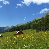 valle san nicolo prati e baite