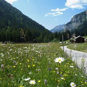 valle san nicolo baite