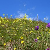 prati primaverili a pregasina