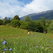 prati di castellano sotto il monte stivo