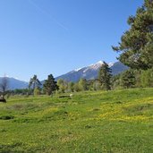 prati sopra denno e vista verso dolomit di brenta primavera