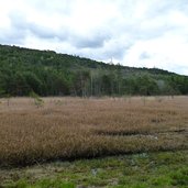 biotopo le grave monte argentario