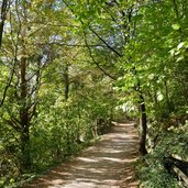 sentiero giro del lago di molveno presso molveno