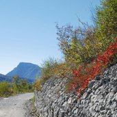 giro del lago di molveno riva sud occidentale