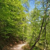 sentiero lez di terres