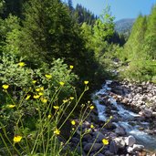 valfloriana rio delle seghe