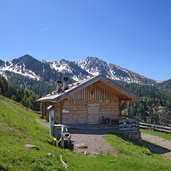 malga coston di valfloriana