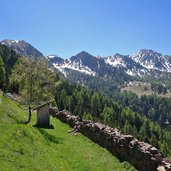 malga coston di valfloriana vista verso pala delle buse