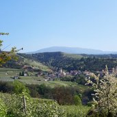 vista su dermulo fioritura meli