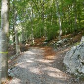 giro del lago di molveno riva est