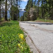 strada da sette larici a sfruz