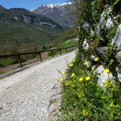 sentiero da canale di tenno al lago di tenno primavera