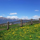 campi presso smarano e sfruz