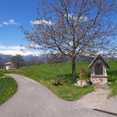 sentiero nei campi presso smarano e sfruz