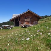 valfloriana agritur malga sass