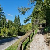 giro del lago di molveno riva est