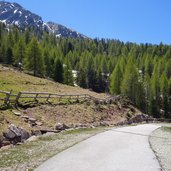 strada forestale di malga sass