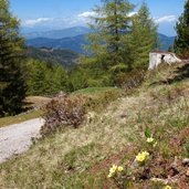 strada forestale di malga sass