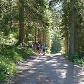 segnavia percorso sorgenti di vallesinella