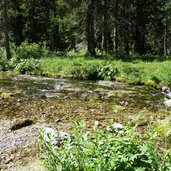 torrente sarca di vallesinella