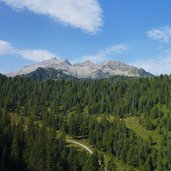 vista verso cima laste gruppo presanella