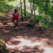 Sentiero n nel bosco