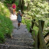 Sentiero n nel bosco