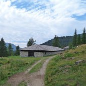 sentiero da malga di dimaro verso passo campo carlo magno malga dare