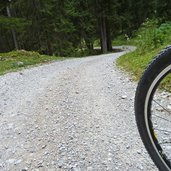 dolomiti di brenta bike tra campo carlo magno e dimaro