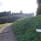 doss dei laresi segnavia per lago lagorai sentiero