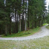 dolomiti di brenta bike tra campo carlo magno e dimaro